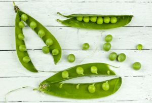 protein from peas in a pod